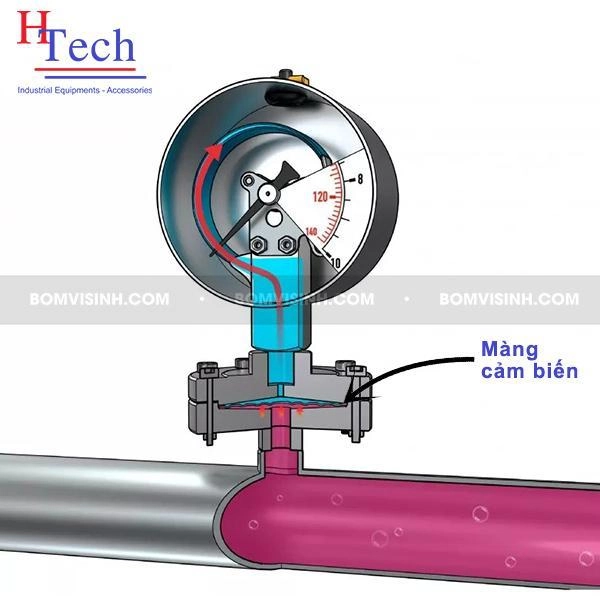 đồng hồ đo áp suất vi sinh dạng màng Carten Pipe